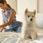Hotel Rezydent - Mgallery Collection 5*